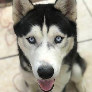 Meet your Posher, Brian